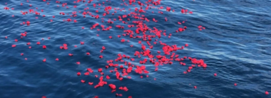 Beyond the Sea Memorial Services Cover Image
