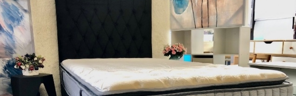 Hola furniture Cover Image