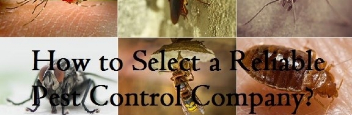 Enviro Safe Pest Control Cover Image