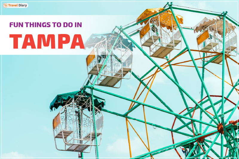 Best Attractions and Fun Things to Do in Tampa
