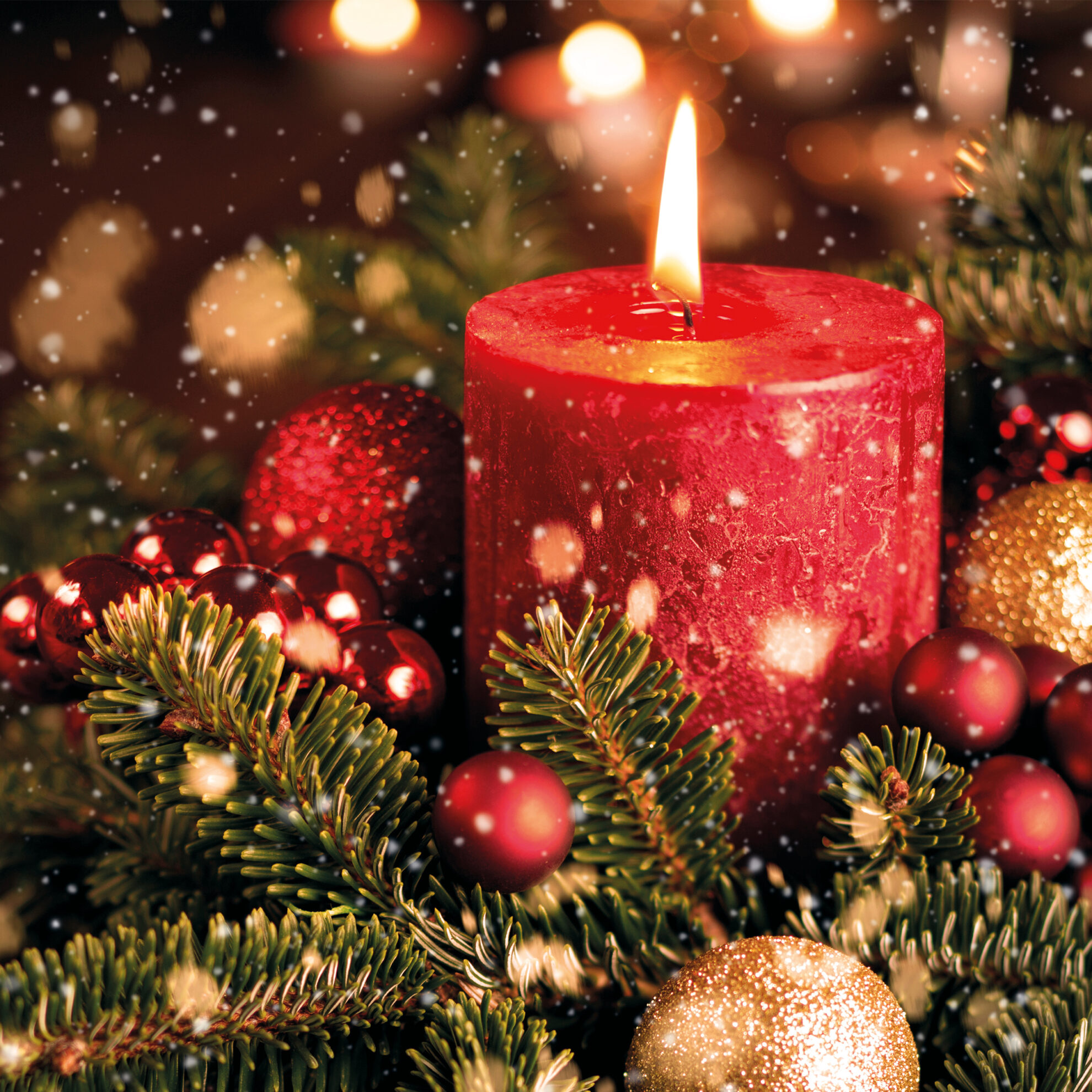 TLM - Candle Christmas Cards (Pack of 10) | The Christian Shop