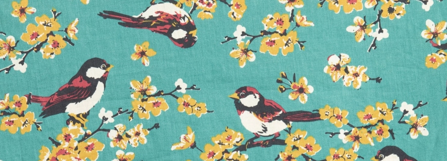 Stickerei Blumer Cover Image