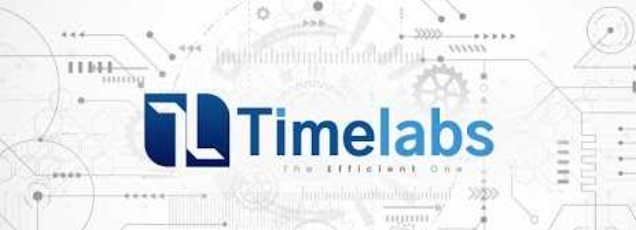 Timelabs Cover Image