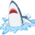 Ocean profile picture