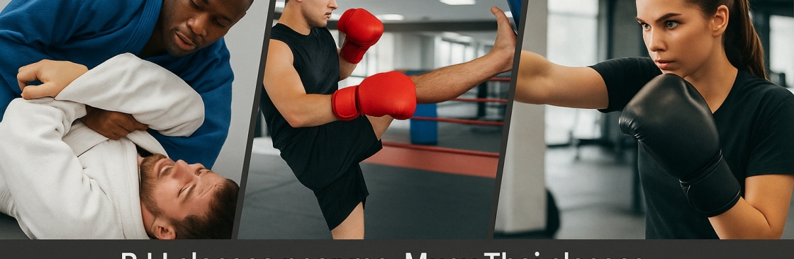 District Martial Arts Cover Image