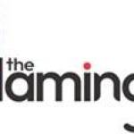 The Flamingo life Profile Picture