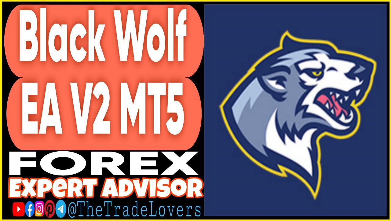 Black Wolf EA V2 MT5 (Works on Build 4873 ) | Forex Robot | MT5 Expert Advisor - Payhip