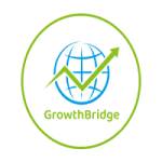GrowthBridge Consulting Profile Picture